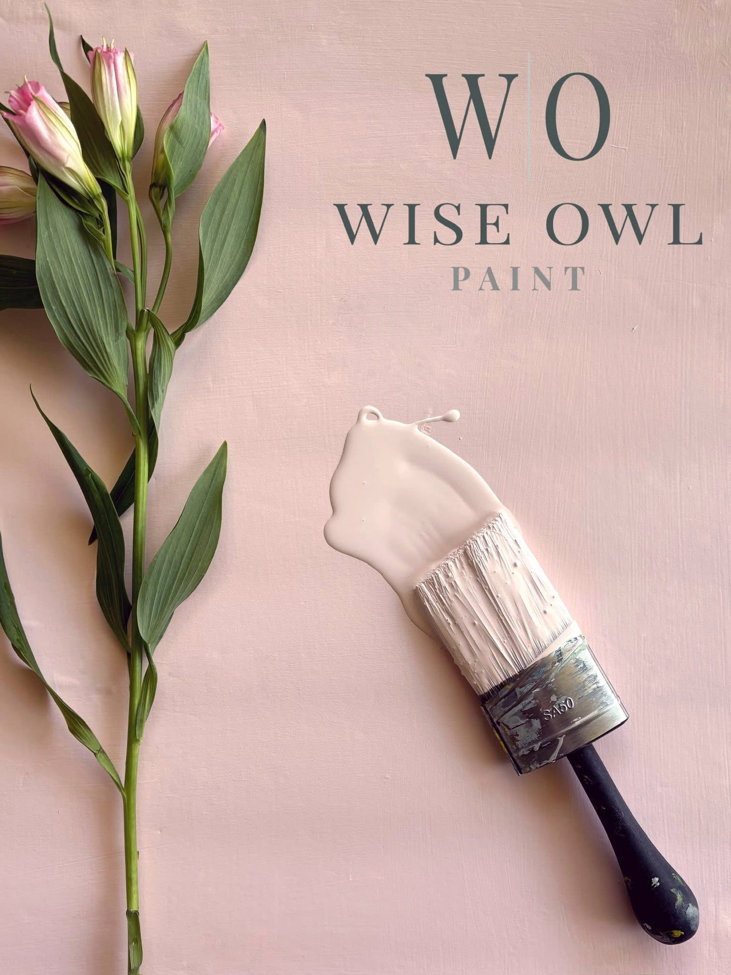 Wise Owl One Hour Enamel - DayDream