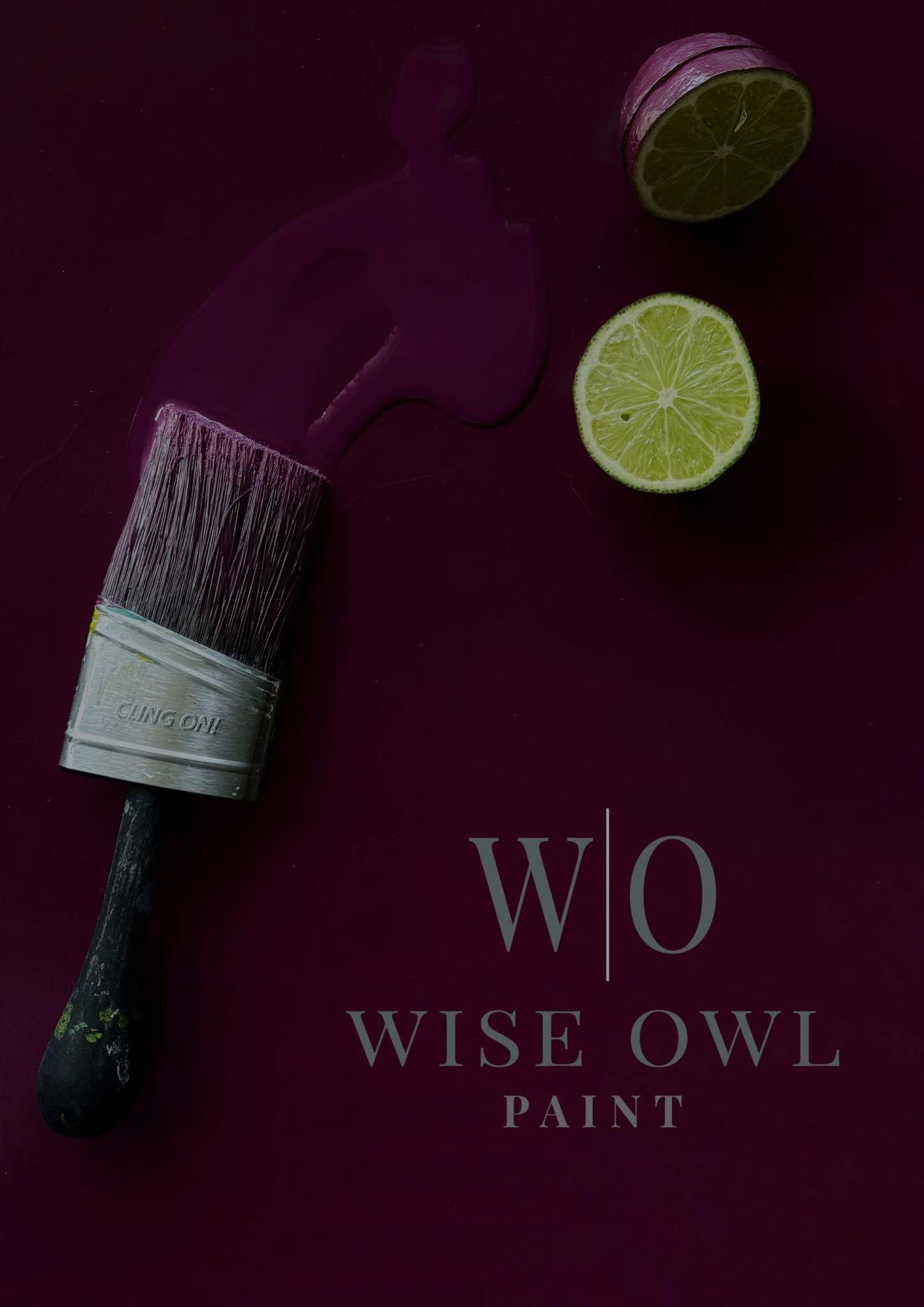 Wise Owl One Hour Enamel - Plum Velvet