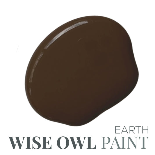 Wise Owl Chalk Synthesis Paint - Earth