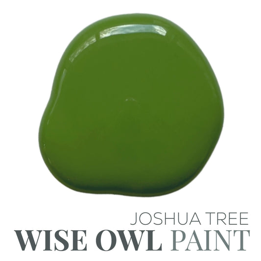 Wise Owl Chalk Synthesis Paint - Joshua Tree