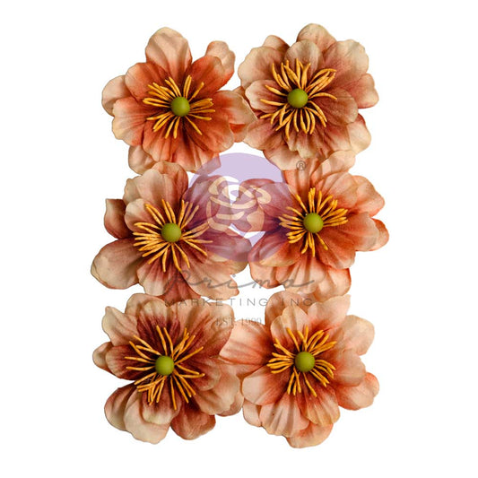 The Home Baker Collection Flowers – Caramel Delight – 6 pcs