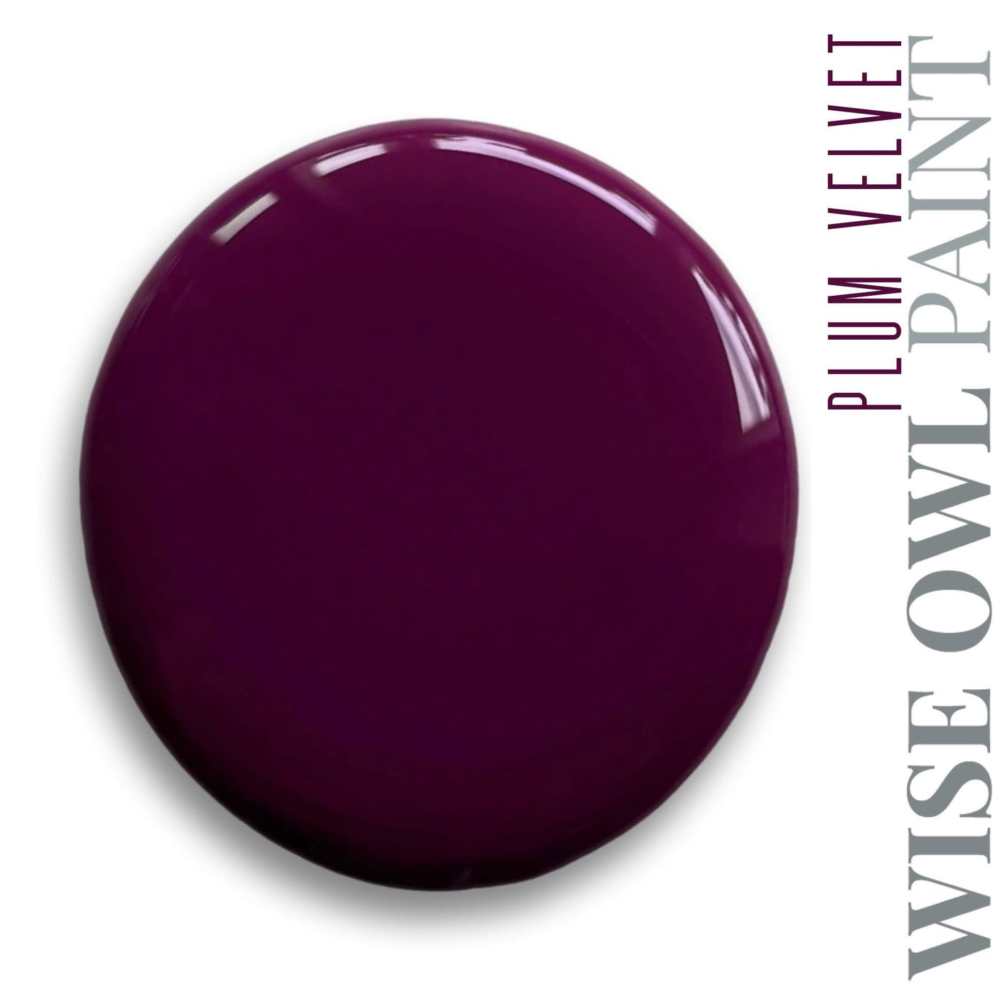 Wise Owl One Hour Enamel - Plum Velvet
