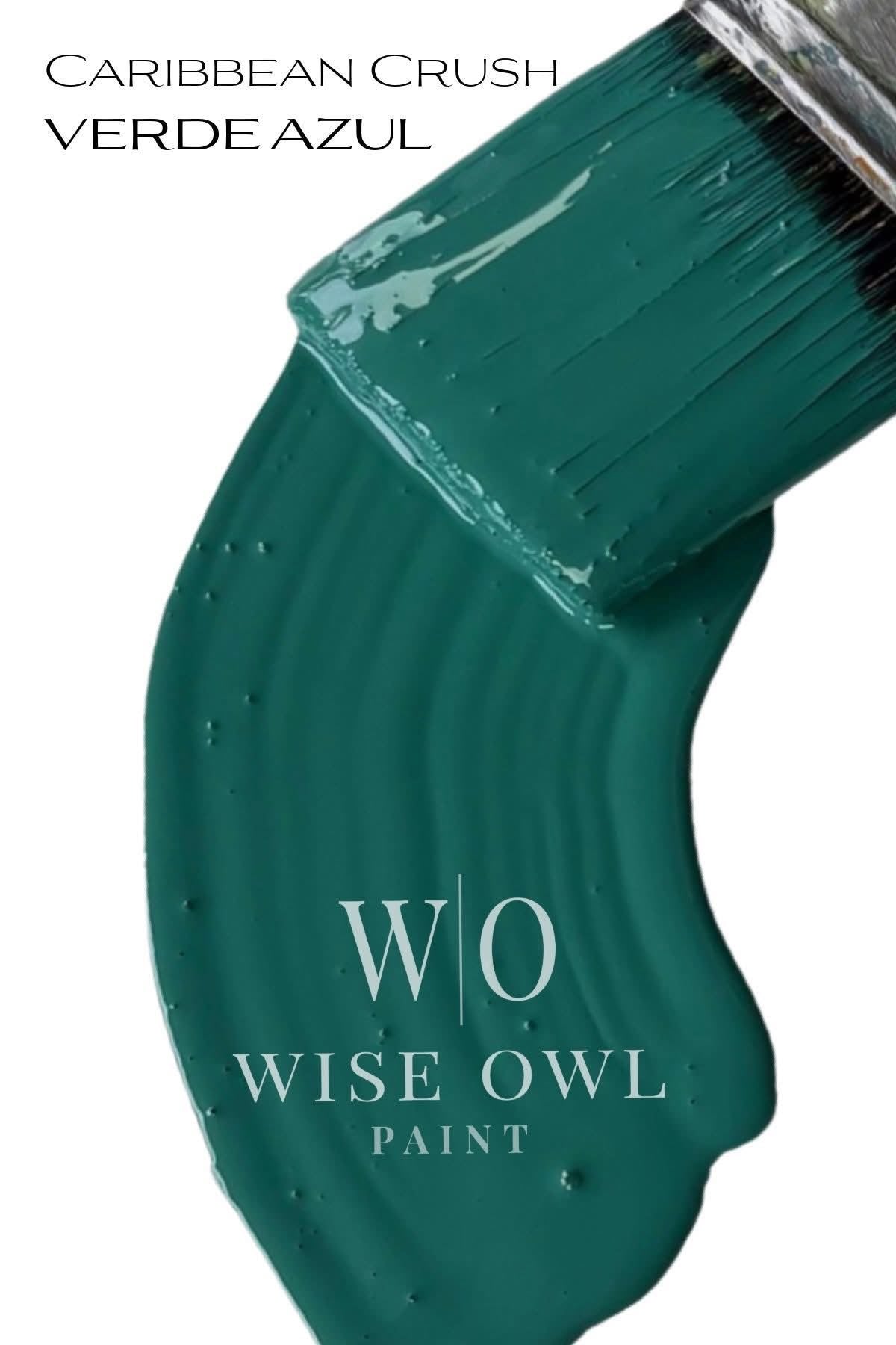 Wise Owl One Hour Enamel - Verde Azul