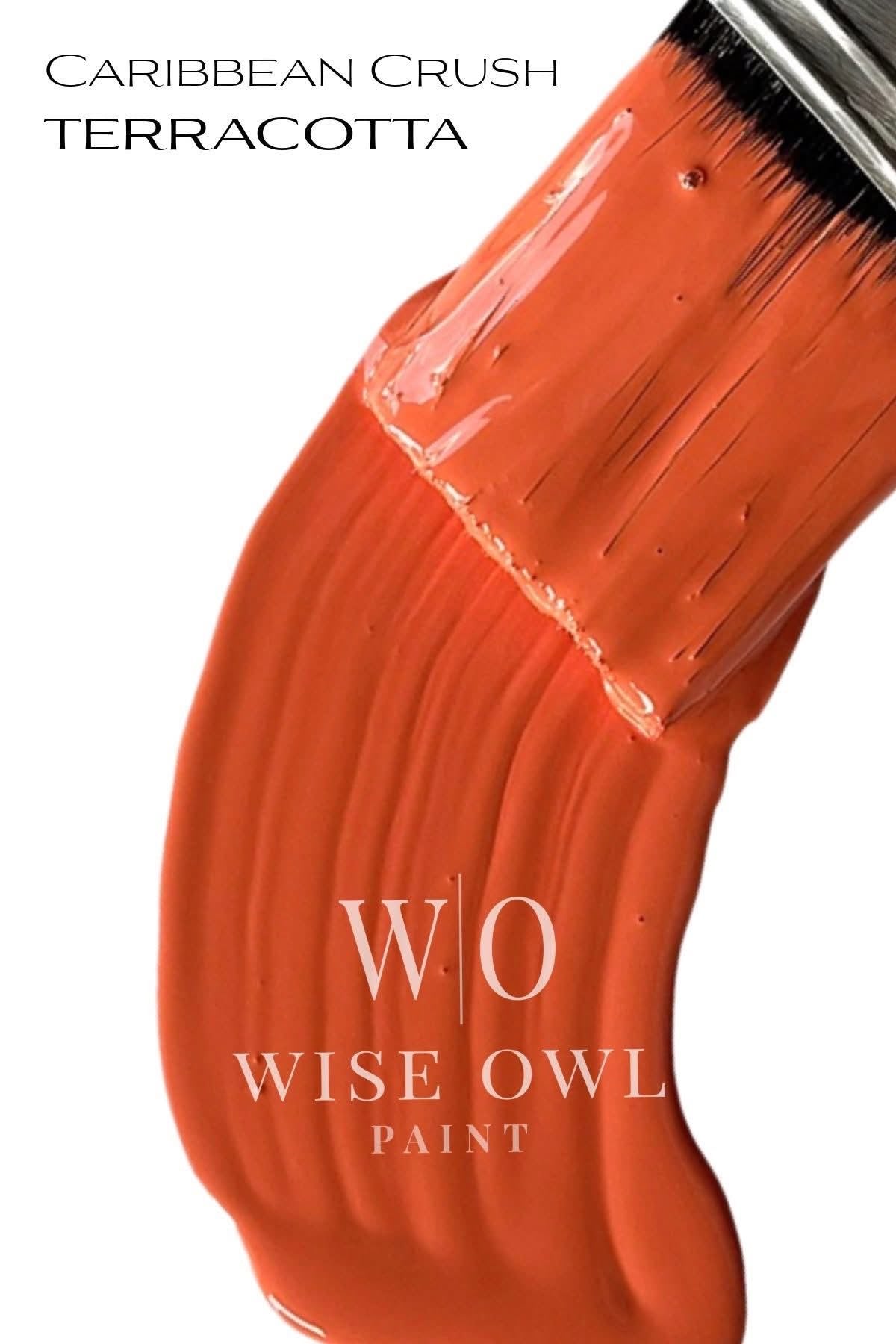Wise Owl One Hour Enamel - Terracotta
