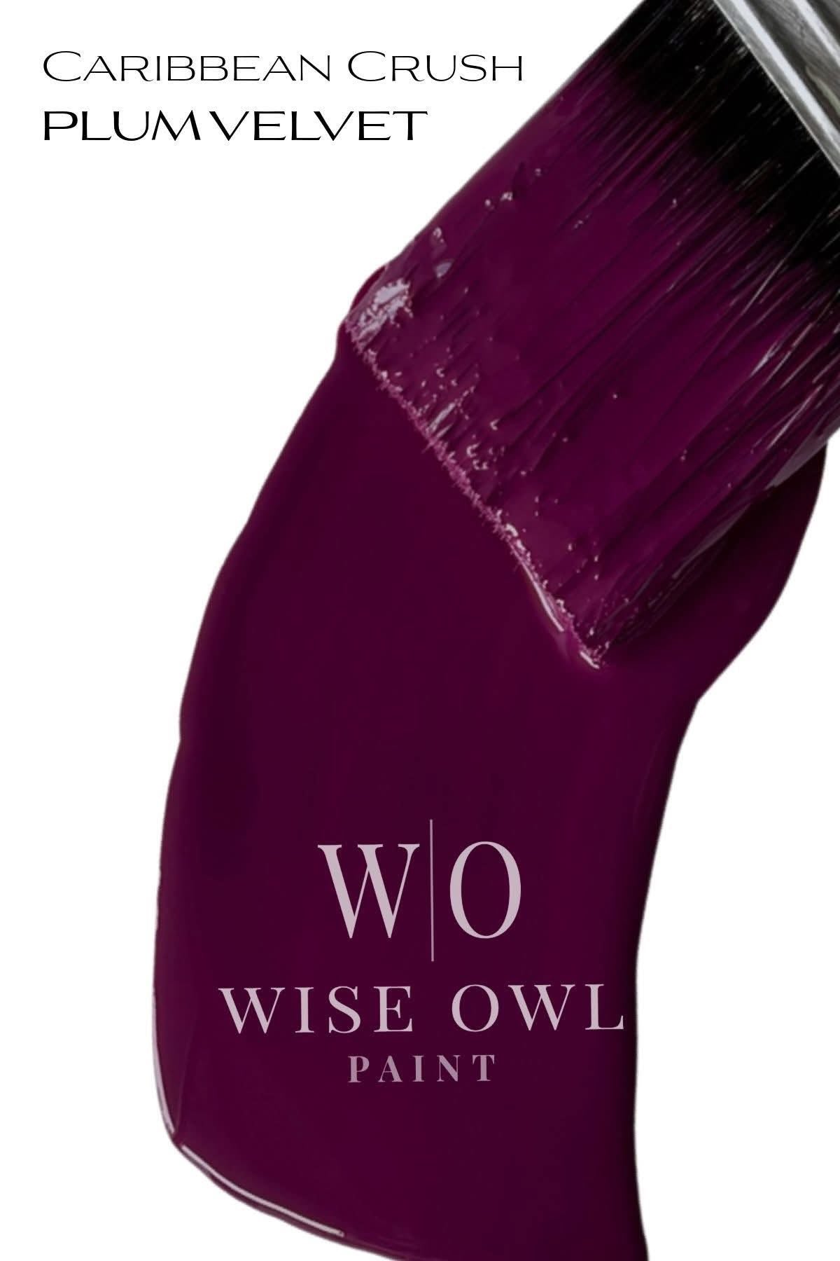 Wise Owl One Hour Enamel - Plum Velvet