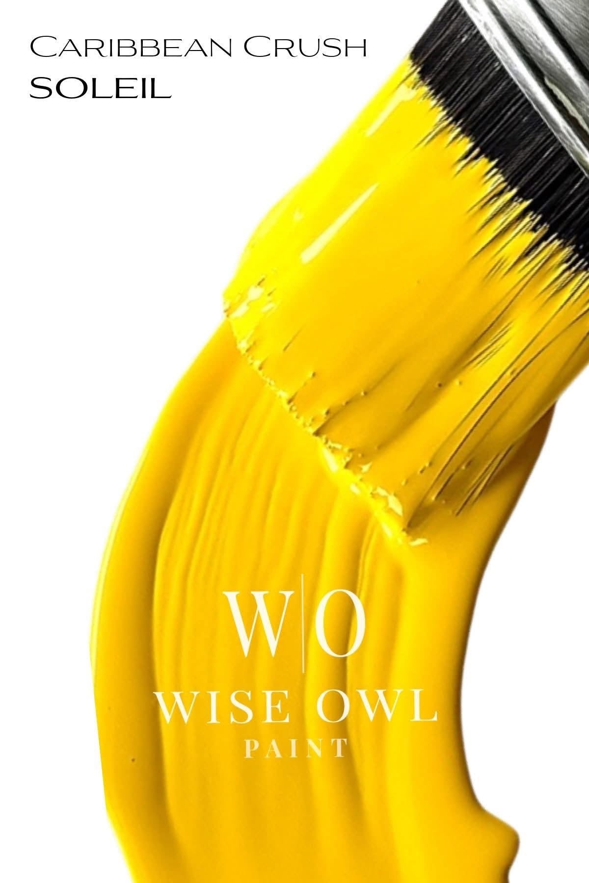 Wise Owl One Hour Enamel - Soleil