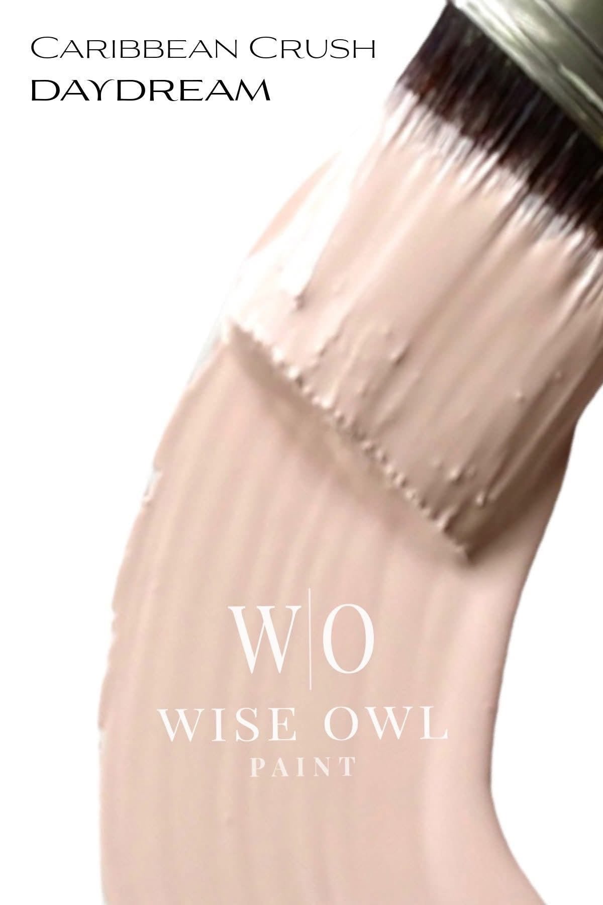 Wise Owl One Hour Enamel - DayDream