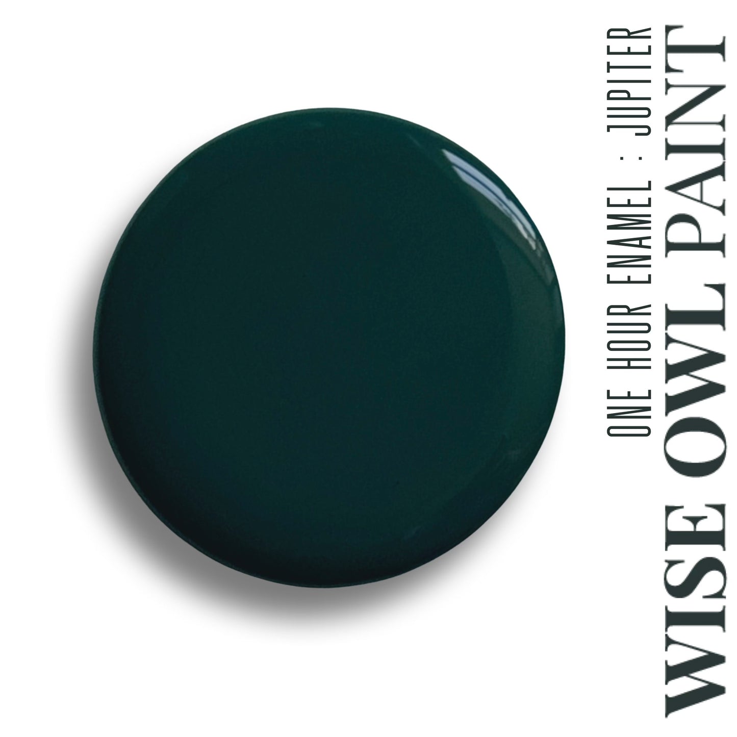 *NEW* Wise Owl One Hour Enamel -Jupiter