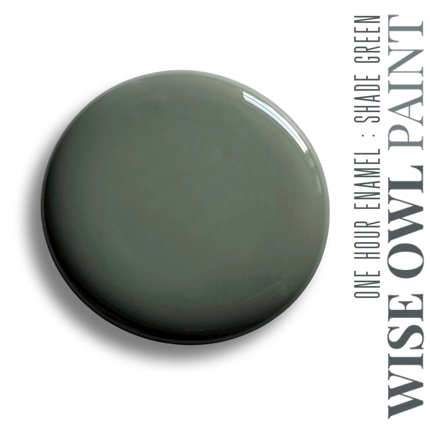 *NEW* Wise Owl One Hour Enamel -Shade Green