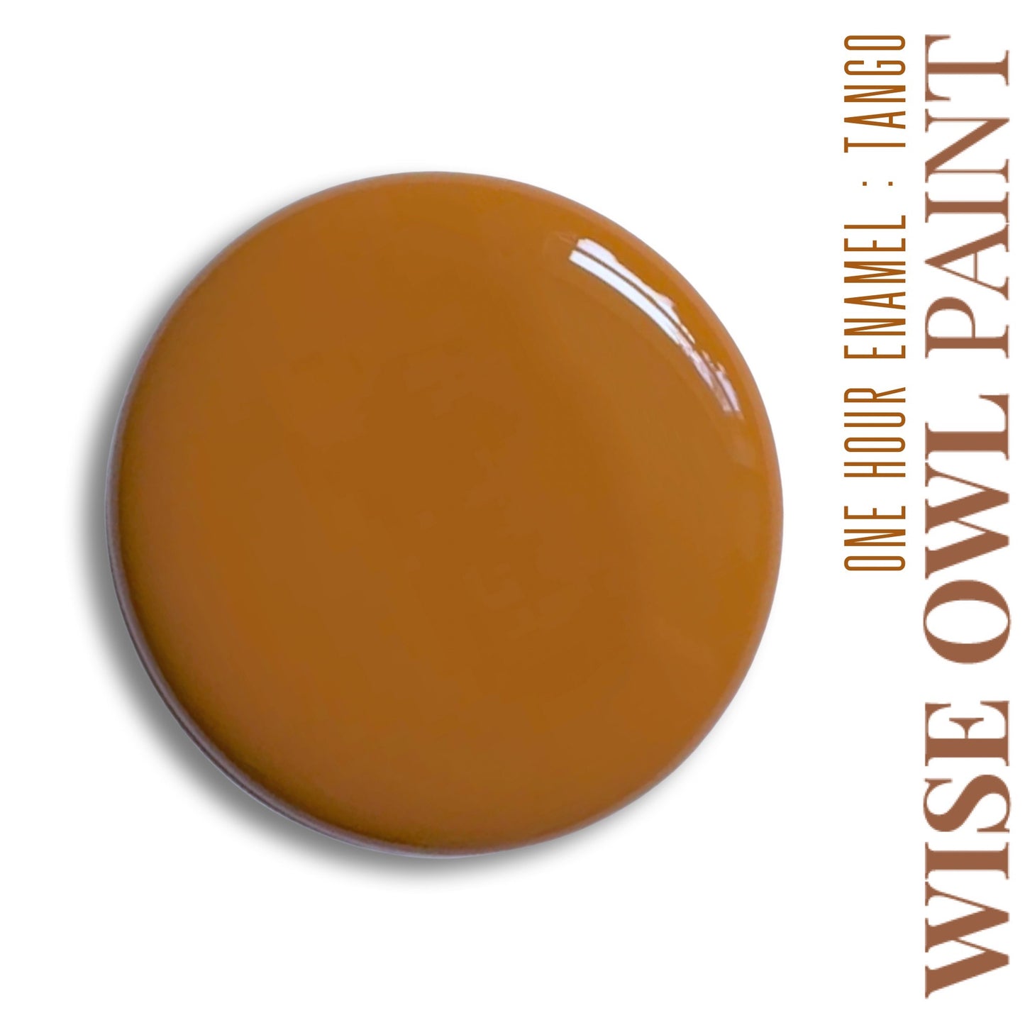 *NEW* Wise Owl One Hour Enamel - Tango