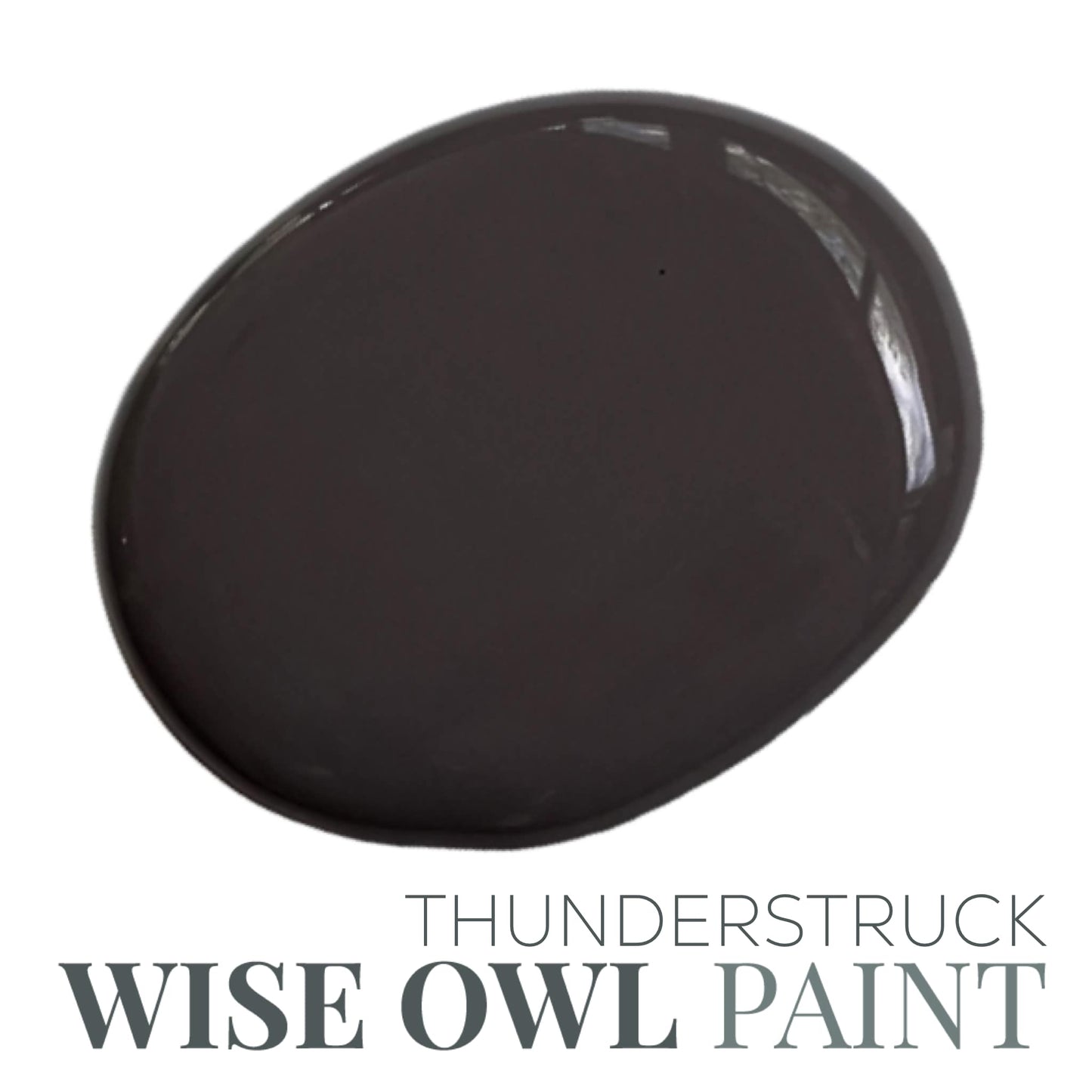 Wise Owl Chalk Synthesis Paint - Thunderstruck